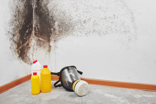 Mold Testing and Removal in Scarsdale, NY