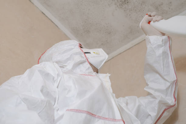 Best Best Mold Removal Companies  in Scarsdale, NY