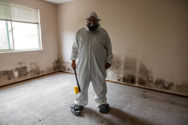 Best Local Mold Removal Service  in Scarsdale, NY